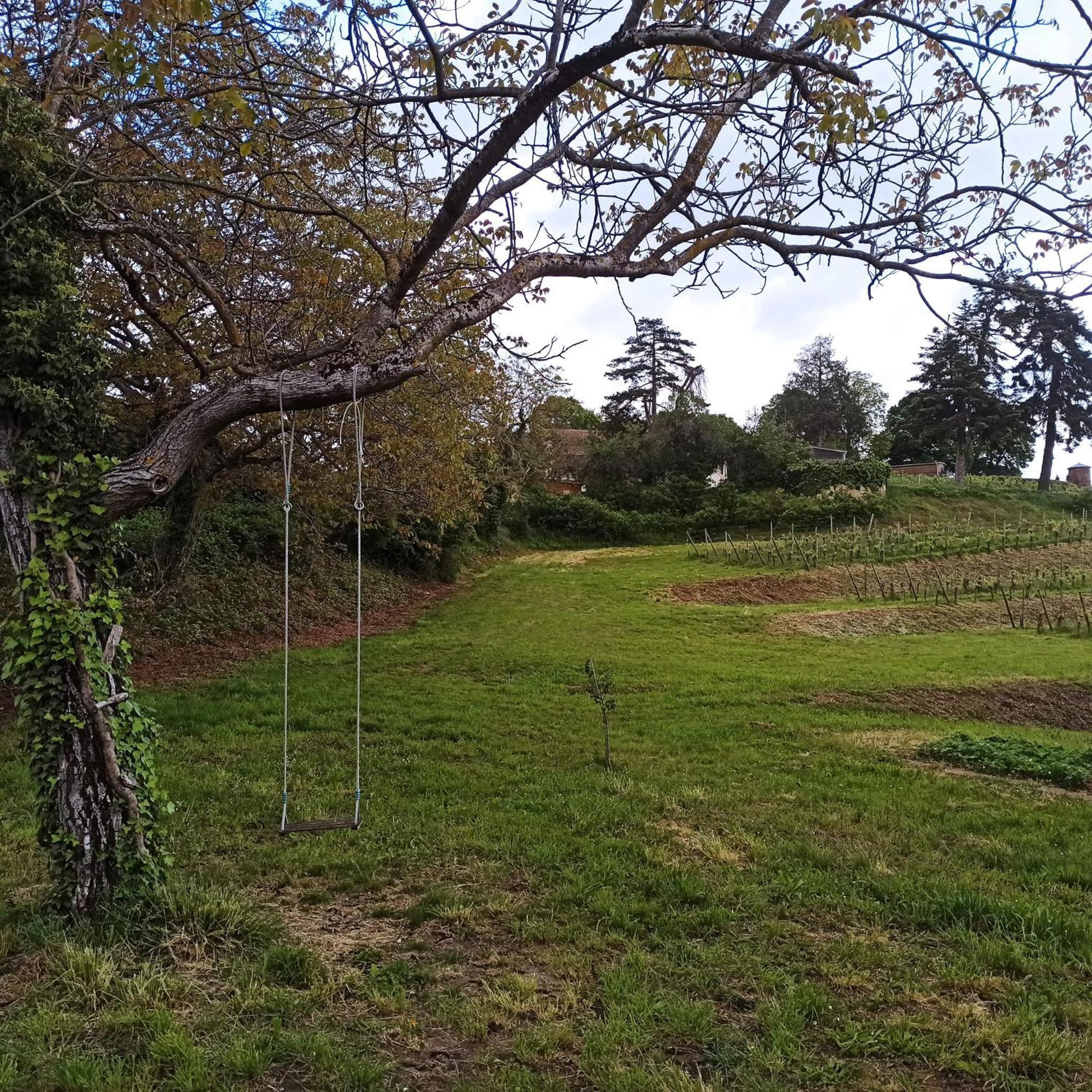 Joli Gite F2 Independant Avec Jardin Prive Rouffach Exterior foto