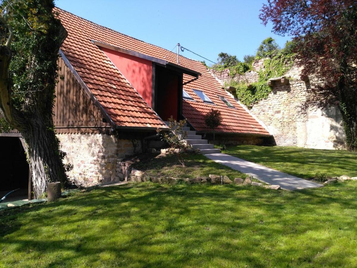 Joli Gite F2 Independant Avec Jardin Prive Rouffach Exterior foto
